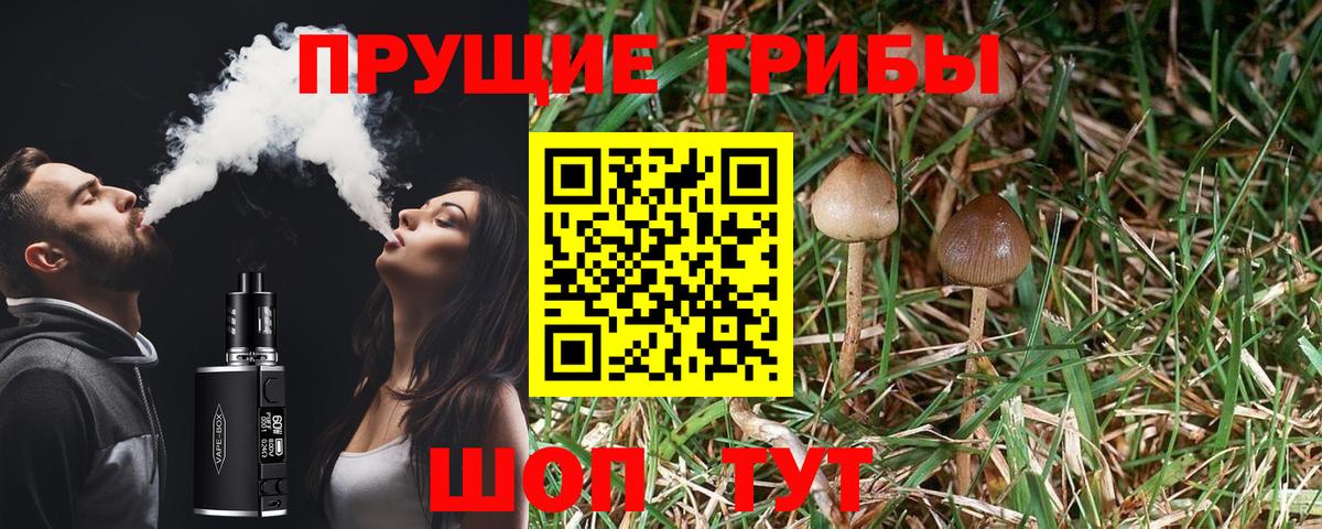 Галлюциногенные грибы мухоморы  Псилоцибиновые грибы прущие грибы  Вход с VPN  Гурьевск 