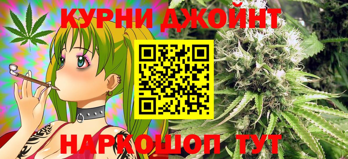 Каннабис OG Kush Гурьевск